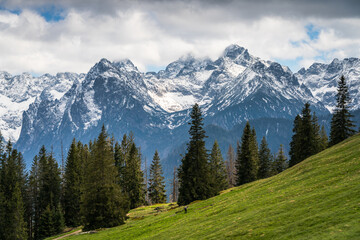 Rusinowa Polana in the Polish Tatra Mountains © LCH photo gallery