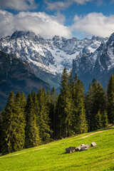 Rusinowa Polana in the Polish Tatra Mountains © LCH photo gallery