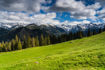Rusinowa Polana in the Polish Tatra Mountains © LCH photo gallery