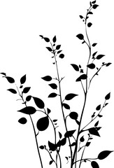 Small leaf plant silhouette pattern wallpaper. Black and white. minimal artwork. simple template. tattoo design. card and package. PNG tranparent.