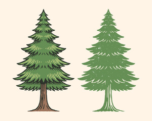 Fototapeta premium pine tree illustration