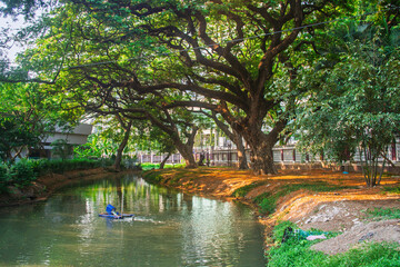 Naklejka premium Beautiful nature at morning with sun in big city park