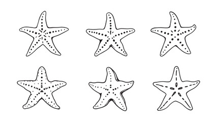 Natural starfish shape beach decor idea