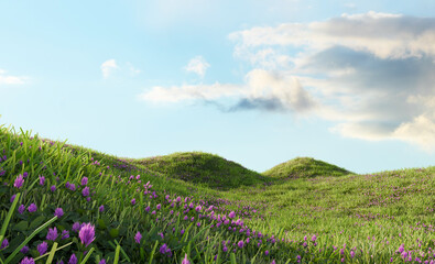 Hills with grass Under Clear Sky. 3D rendering.	
