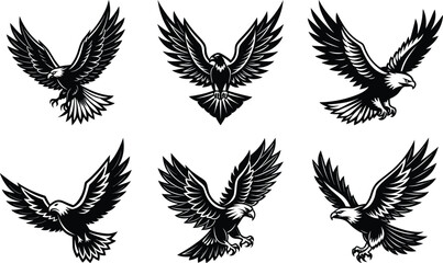 Six Black Eagles in Flight Majestic Birds of Prey Soaring