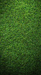 Obraz premium Close-up view of vibrant green grass. Densely packed blades