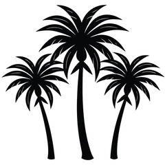 Obraz premium a group of three tropical palm trees with curving