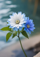 A beautiful blue and white flower with blurred background