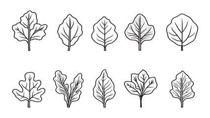 Birch leaf forest inspired delicate drawing