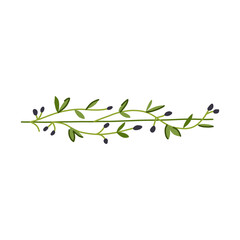 graphic olive border divider cartoon vector illustration