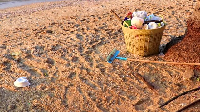 Fat rats rat on beach with garbage in Pattaya Thailand.