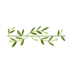 greenery olive border divider cartoon vector illustration