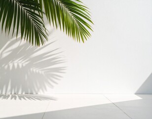 Shadow of Palm Leaves on White Concrete Wall in Bright Sunlight_Crisp minimalism