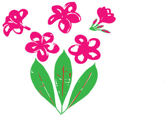 frangipani rosa group image