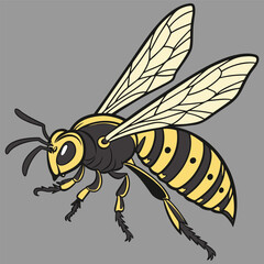 Sketch of a bee. Vector illustration on transparent background