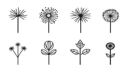 Dandelion leaf wild herb natural shape