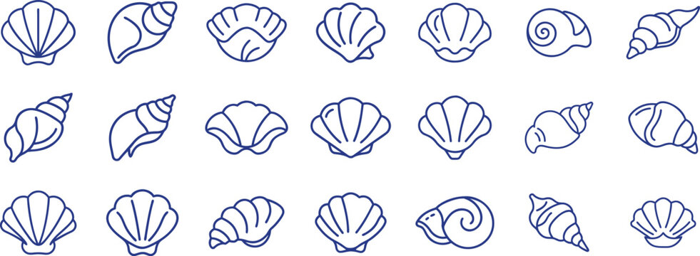 Set of 21 seashells outline icon, summer sea beach element
