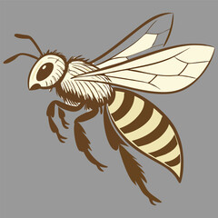 Sketch of a bee. Vector illustration on transparent background