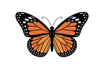 Obraz premium A clean vector illustration of a monarch butterfly with orange and black patterned wings isolated on white background