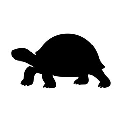 a tortoise vector
