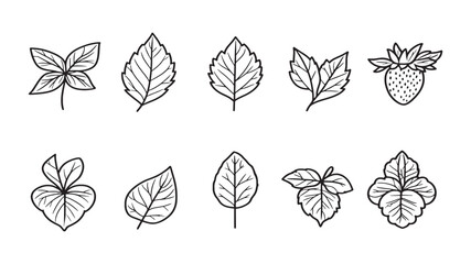 Strawberry Leaf Nature Inspired Leaf Art