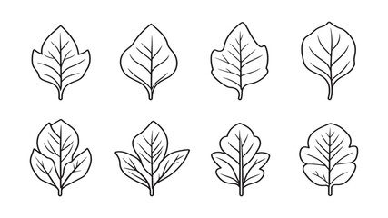 Spinach Leaf Fresh Vegetable Leaf Design