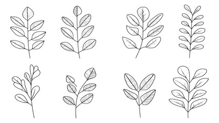 Tamarind Leaf Organic Shape Vector Design