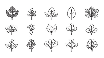 Turnip Leaf Minimalist Botanical Line Art