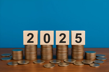Investment strategies for the year 2025 planning and financial goals for future success