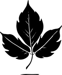 silhouette of a leaf