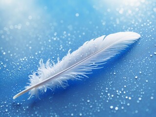 Feather Adorned with Water Droplets, Reflecting Serenity and Tranquility.
