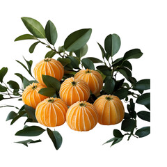 Juicy Fresh Oranges Vibrant Citrus Fruits with Lush Green Leaves