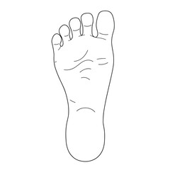 Obraz premium Shoe and bare foot print icon vector set