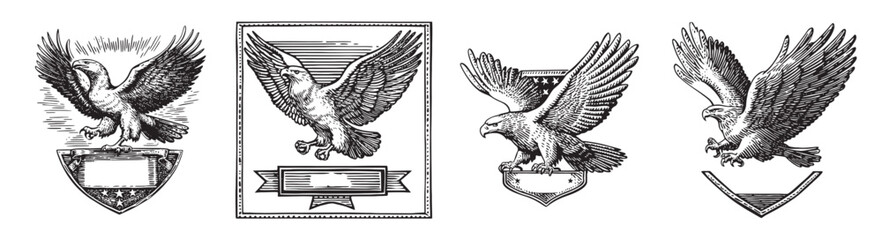 Fototapeta premium Elegant Vintage Illustrations of Eagles in Various Stances and Designs, logo design, engraving design, vector illustration