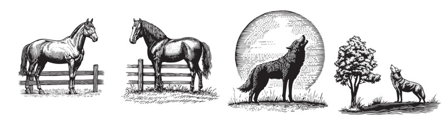 Vintage Style Engravings of Horses and Howling Wolves in Nature, logo design, engraving design, vector illustration