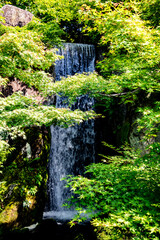 waterfall in the forest