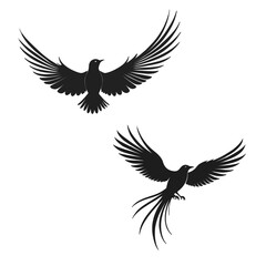 Elegant Flying Bird Silhouette Vector &ndash; Wings Spread, Minimal Black Design