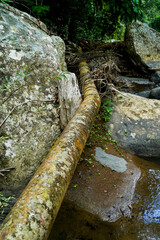 Rusty metal pipe with lichen and corrosion over mossy rocks in a natural outdoor setting, showing weathered textures and the contrast between nature and decay.