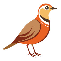 A beautiful skylark bird vector illustration