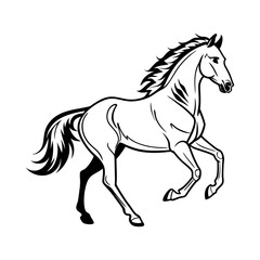 Obraz premium black horse on white background