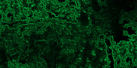 Abstract dark, texture with a complex network of glowing neon green contour lines and organic patterns. Black, while the electric green filaments form chaotic, squiggly paths across the canvas,