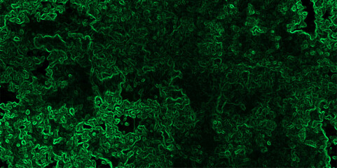 Abstract dark, texture with a complex network of glowing neon green contour lines and organic patterns. Black, while the electric green filaments form chaotic, squiggly paths across the canvas,