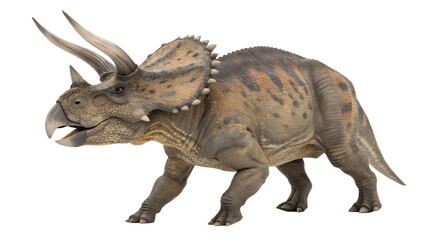 Fototapeta premium ฤ realistic digital rendering of a Triceratops, a large, quadrupedal dinosaur known for its distinctive three horns and bony frill. The dinosaur is depicted in a walking.