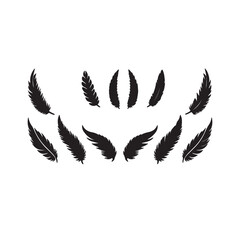 Fototapeta premium bird feather silhouettes isolated on white background