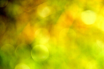 Obraz premium Abstract green and yellow bokeh background with soft circular light patterns and warm tones