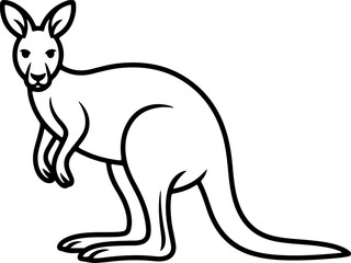 Kangaroo silhouette and line art vector illustration.