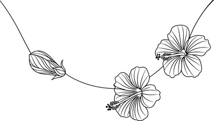 Elegant line art hibiscus floral design element © vector Art