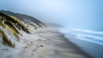 Wild beach with misty cliffs and dark sand