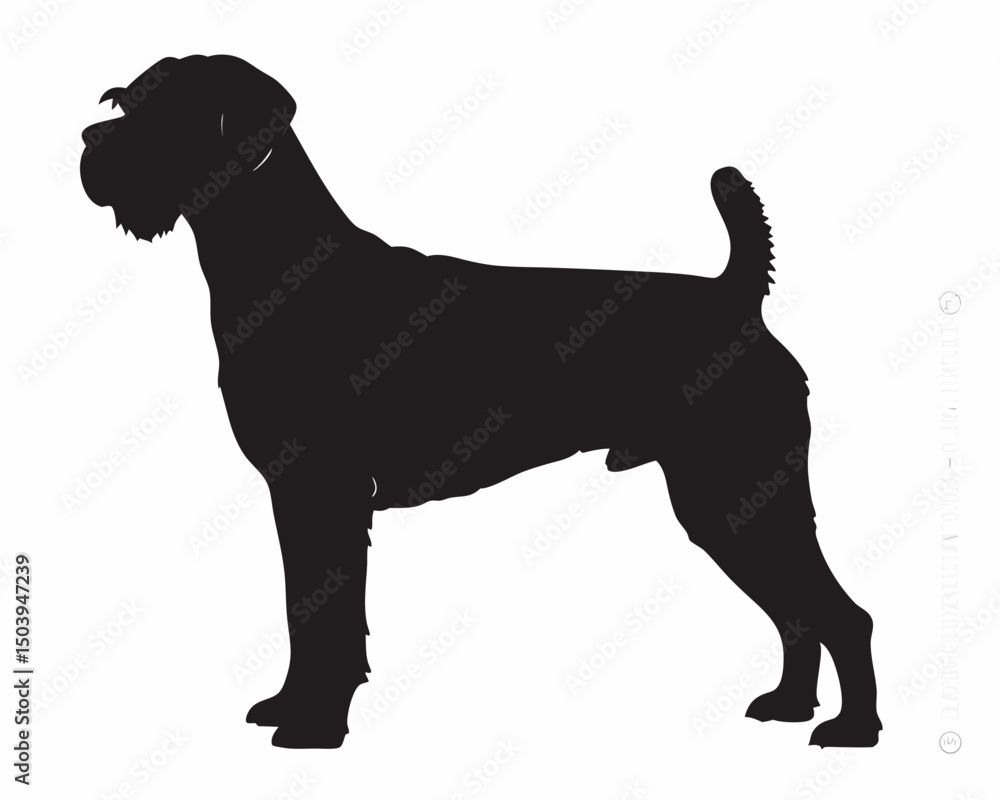 Poster silhouette of a standing border terrier with a docked tail and a wiry coat against a white backgroun