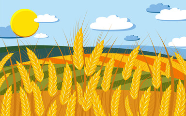 Fields of ripe golden wheat on a clear sunny day. Vector.